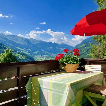 Apartament Richard Strauss-weg 4 *
